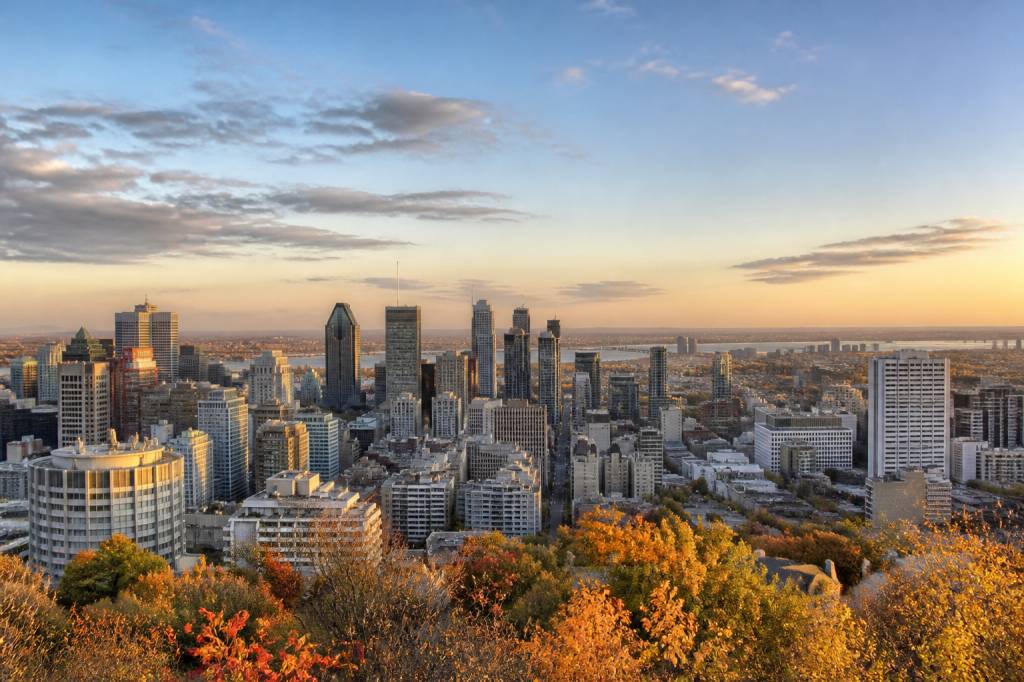 Montreal news : les dernières actualités à suivre